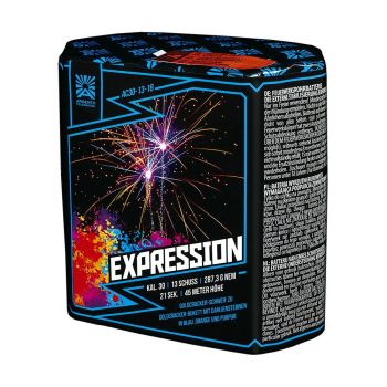 Profi-Feuerwerk,Batteriefeuerwerk, Sivesterfeuerwerk